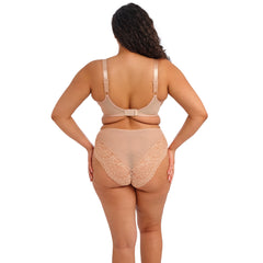 Elomi Tiernie Brief in Sahara - Back View