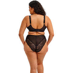 Elomi Tiernie Stretch Plunge Bra in Black - Back View