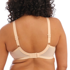 Elomi Bijou Bra in Sand - Back View