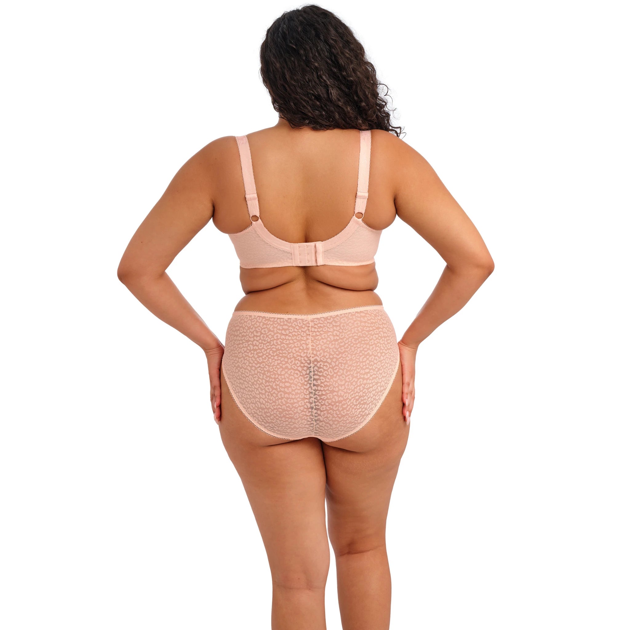 Elomi Lucie Stretch Plunge Bra in Pale Blush - Back View