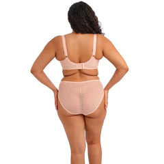 Elomi Lucie Stretch Plunge Bra in Pale Blush - Back View