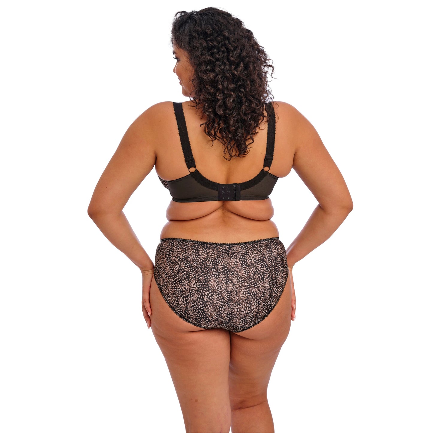 Elomi Morgan Stretch Banded Bra in Ebony - Back View