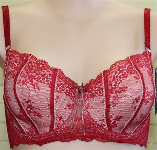 Picture of Heidi Klum Intimates Sofia Underwire Bra H75-261 70% off r.r.p